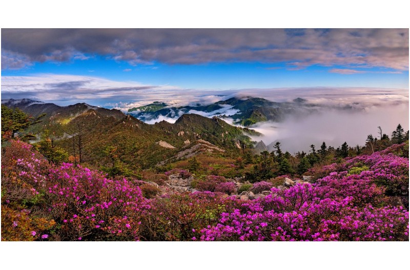 오소서,,5월!!!!!