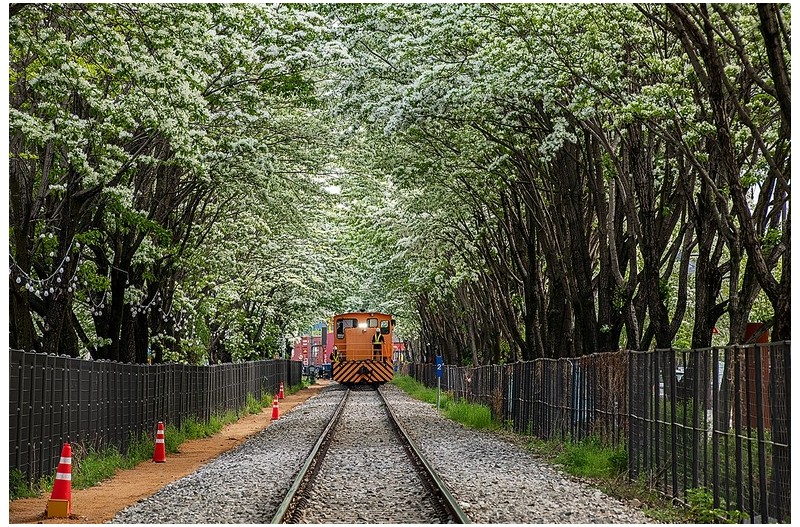 전주팔복동철길