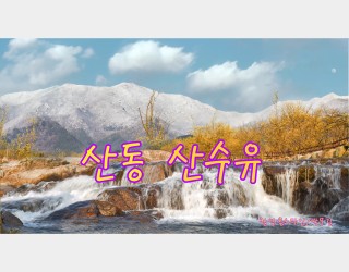 산동산수유
