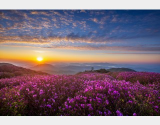 황매산 일출과 은하수