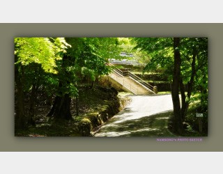 녹음은 짙어지고 ----