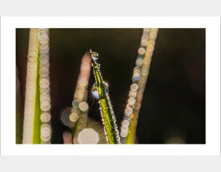 황산공원아침이슬