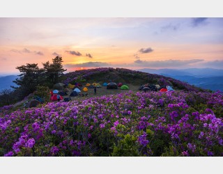 초암산 텐트마을..