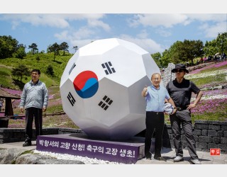 꽃잔디 축제