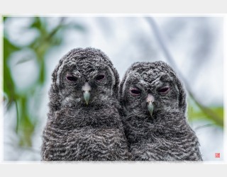 형아하고 기념사진