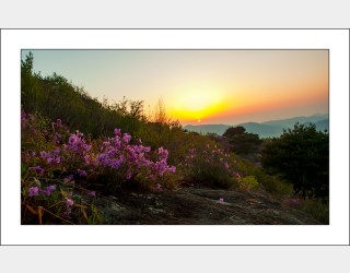 지리산의 아침..