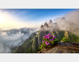 월출산 아침산책