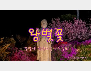 영평사환성스님극락정토