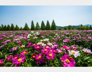 1박2일 경상도 나들이