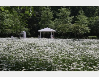 아름다운 시간들