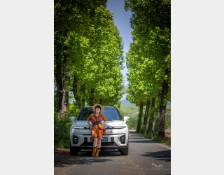 시원한 나무그늘 아래에