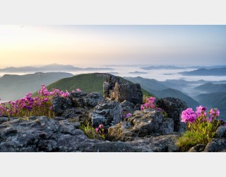 마음이 풍요로운 아침