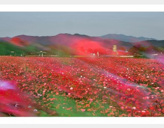 바람 불어 좋은 날