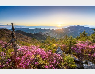 설악 귀때기청봉 일출