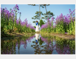 보라유채가 있는 오월