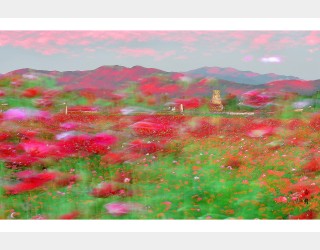 혼돈의 시대 (뒤죽박죽)