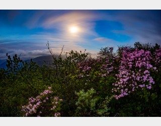 강원도의 새벽달빛