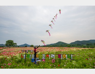 나주 들섬 나블리 꽃양귀비정원