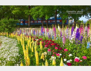 섬진강 기차마을