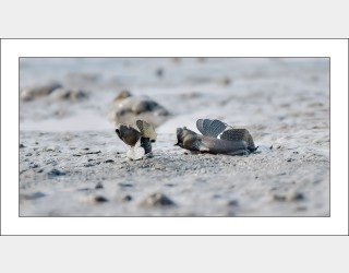 연인들의  이야기...