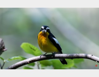 노이즈 제거연습