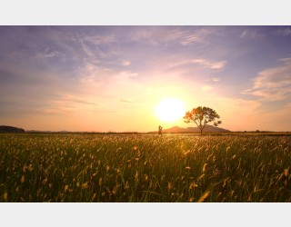 그곳에 가고싶다.