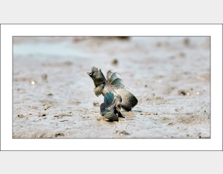 연인들의 이야기..