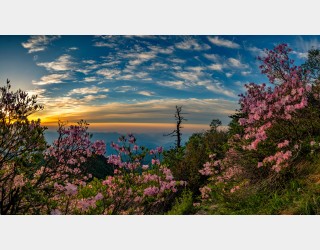 지리산의 초 여름 1