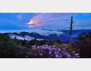 지리산의 여름 2