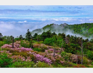 지리산의 여름 3