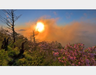 지리산의 초여름 4