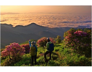 소백산 비로봉의 봄