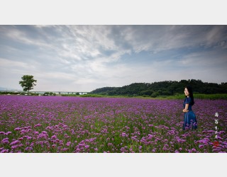 아름다운 꽃밭의 여인