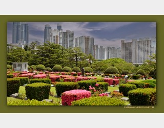 유엔 평화 공원 ----