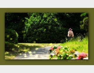 정든 님 떠나보내고 -----