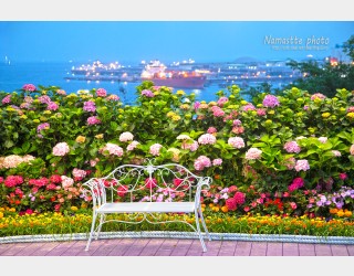 당신을 기다립니다