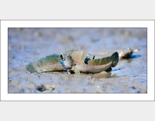 연인들의  이야기...