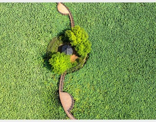 드론으로 보는 세상