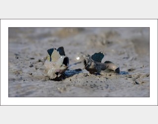 연인들의 이야기...