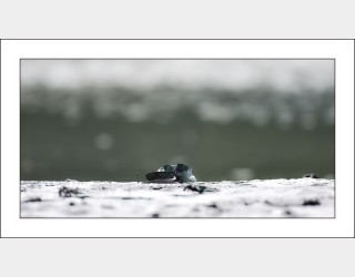 연인들의 이야기...