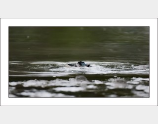 연인들의 이야기..