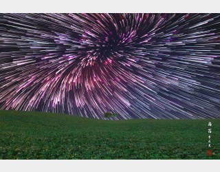 새비제 회오리 별들의 밤