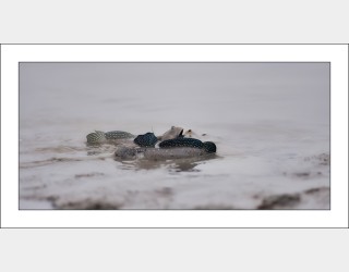 연인들의 이야기...