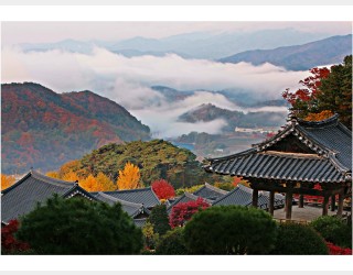 산사의 가을