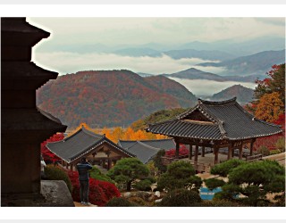 산사의 가을