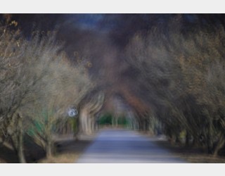 가을이 머문자리