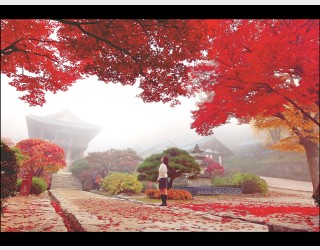 산사의 여인