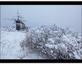 함백산 설경