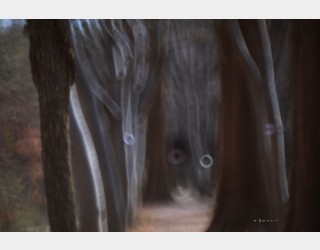 그곳으로 ...