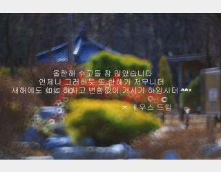 새해에도